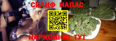 apvp Партизанск