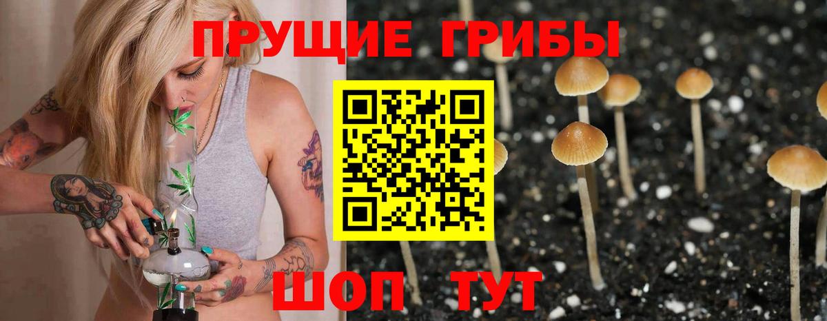 Галлюциногенные грибы Cubensis Троицк